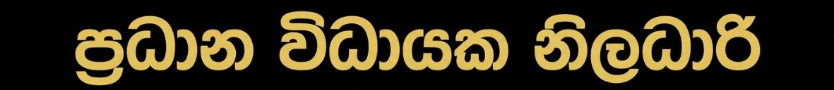 ප්‍රධාන විධායක නිළධාරී